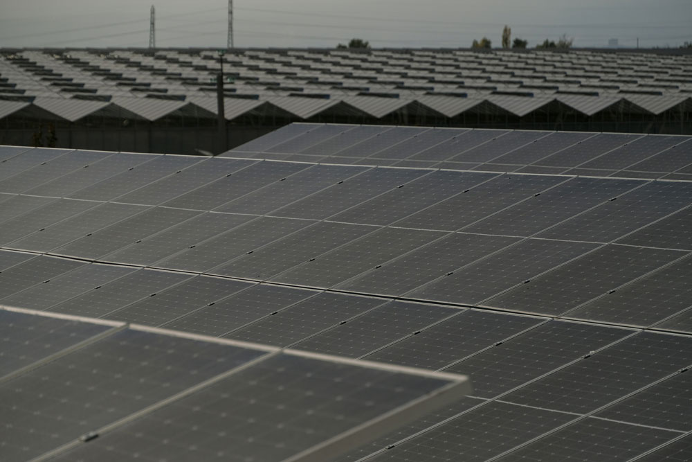 Cómo EFV Solar transforma negocios con soluciones solares integrales